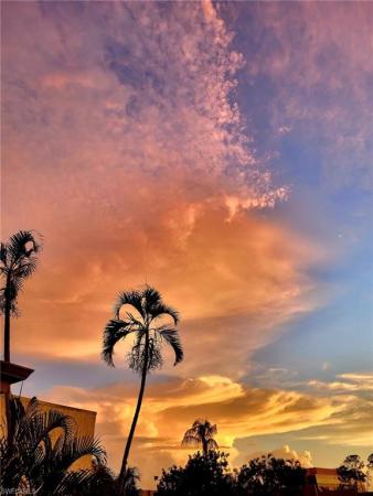 Hidden Gardens, 7400 College Pkwy #64D, Fort Myers, Florida 33907, image 1