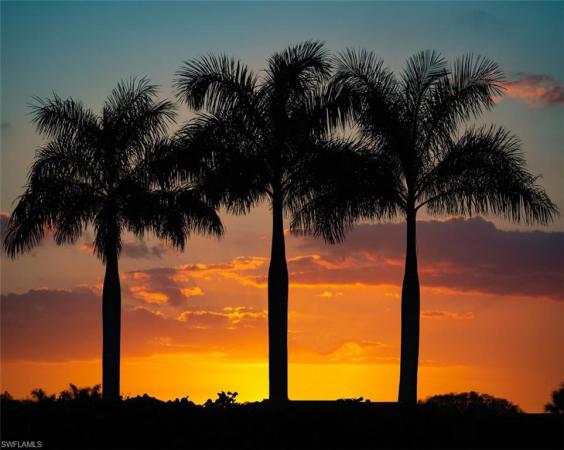 Arborwood Preserve, 11605 Golden Oak Ter, Fort Myers, Florida 33913, image 1