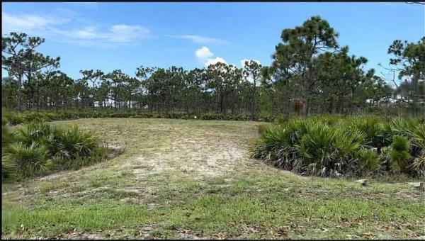 Calusa Ridge, 12527 Canoe Trl, Bokeelia, Florida 33922, image 1