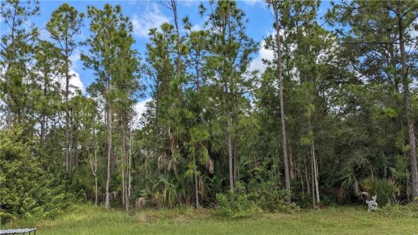 Lehigh Acres Residential, 2812 W 38th St, Lehigh Acres, Florida 33971, image 1