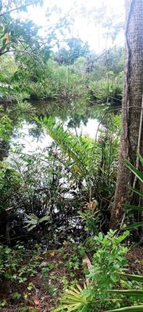 North Fort Myers No HOA, 17011 Cypress Creek Dr, North Fort Myers, Florida 33917, image 3
