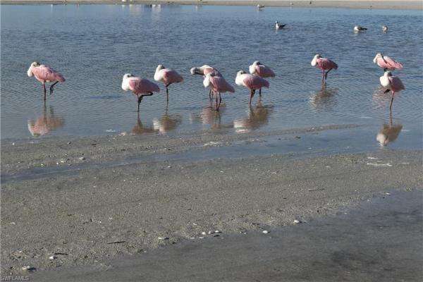 Fairview Isles, 32 Fairview Blvd, Fort Myers Beach, Florida 33931, image 1