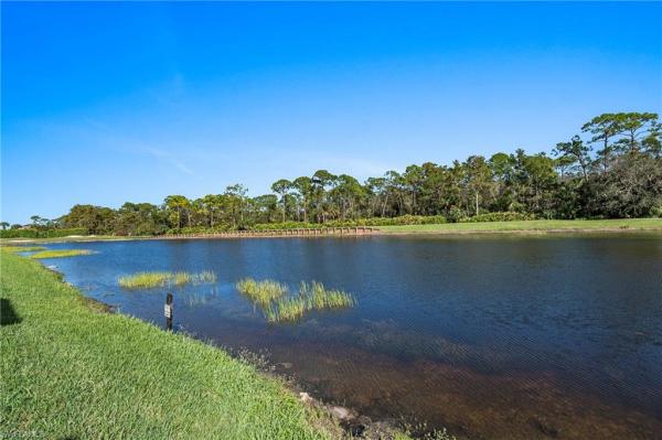 St Andrews Verandas At Highland Woods, 26190 Clarkston Dr #202, Bonita Springs, Florida 34135, image 1