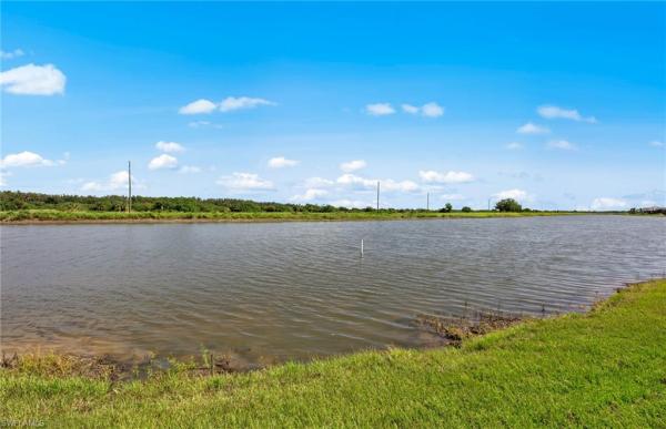 Avalon Park, 4195 Traditions Dr, Ave Maria, Florida 34142, image 1