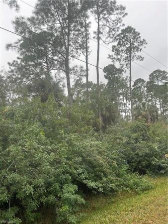 Golden Gate Estates, 16th AVE NE, NAPLES FL 34120, Naples, Florida 34120, image 1