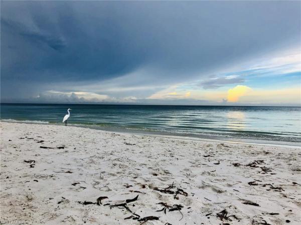 Camelot Club, 3055 Riviera Dr #208, Naples, Florida 34103, image 1