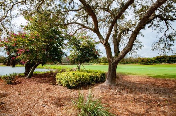 Foxtail Creek, 23150 Foxtail Crk, Estero, Florida 34135, image 1