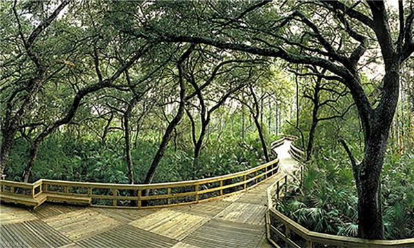 Siena, 10530 Amiata Way #102, Fort Myers, Florida 33913, image 1
