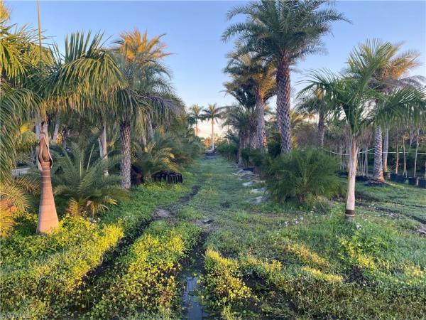 Pine Island, 5968 Bay Point Rd, Bokeelia, Florida 33922, image 1