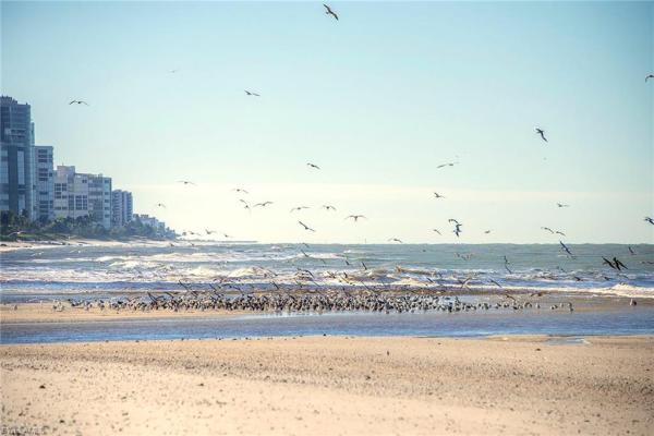 Waterford At Pelican Bay, 691 Annemore Ln, Naples, Florida 34108, image 1