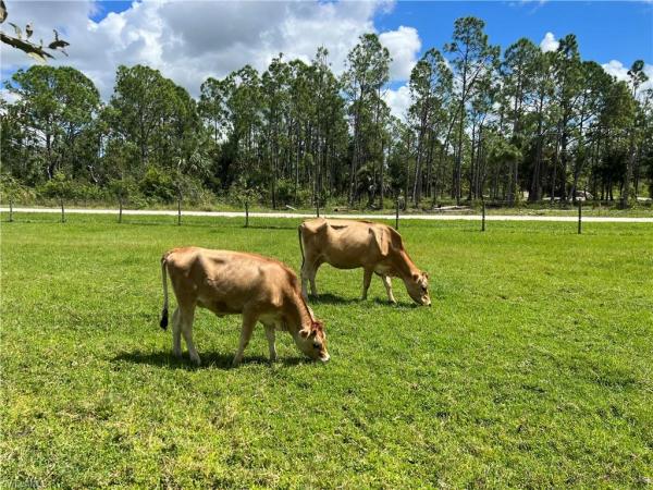 29392 Maris Dr, Punta Gorda, Florida 33982, image 1