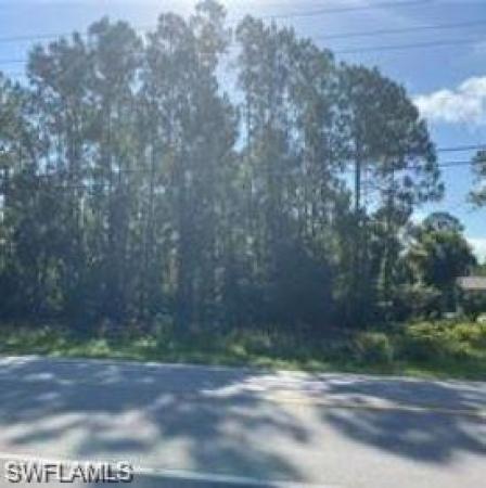 Golden Gate Estates, WILSON BLVD NW, NAPLES FL 34120, Naples, Florida 34120, image 1