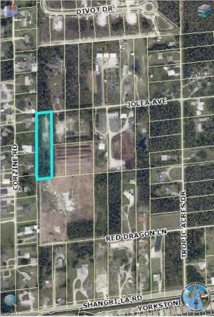 Tropic Acres, 10501 Jolea Ave, Bonita Springs, Florida 34135, image 1