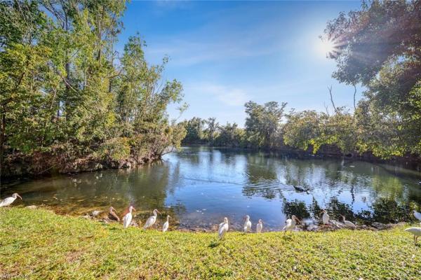 Pinebrook Lakes, 907 Big Pine Way, Fort Myers, Florida 33907, image 1