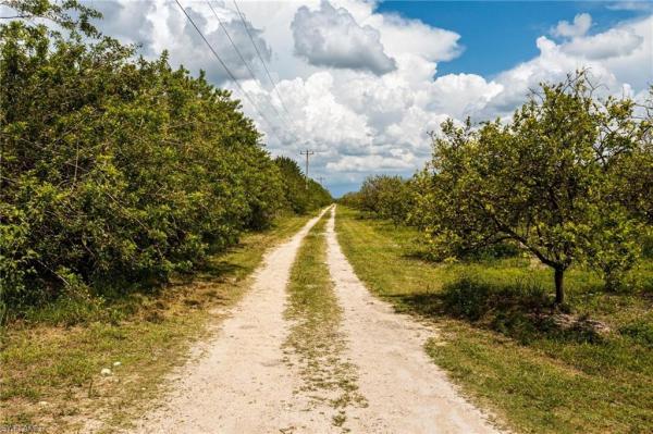 Acreage, 21979 Carter Rd, Estero, Florida 33928, image 1