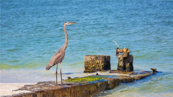 Punta Robalo, 210 Mourning Dove Dr, Upper Captiva, Florida 33924, image 1