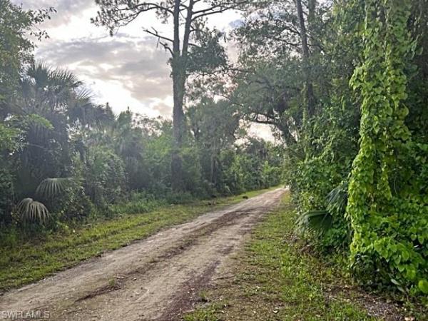 Immokalee No HOA, 3086 + 3080 Whidden Loop Rd, Immokalee, Florida 34142, image 1