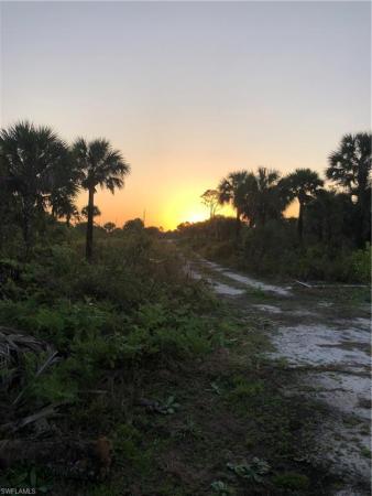 Golden Gate Estates, 2455 Woodland Estates Rd, Naples, Florida 34117, image 1