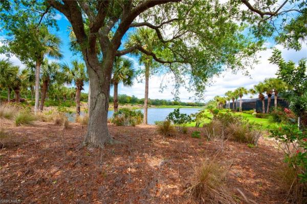 Foxtail Creek, 23290 Foxtail Crk, Estero, Florida 34135, image 1