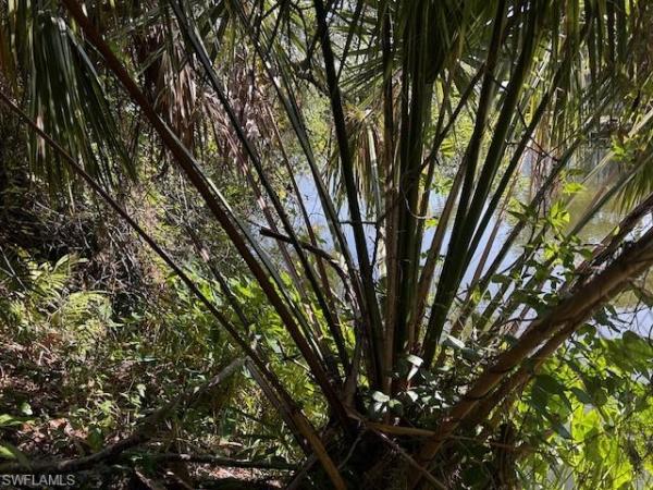 33681 Serene Dr, Punta Gorda, Florida 33982, image 1