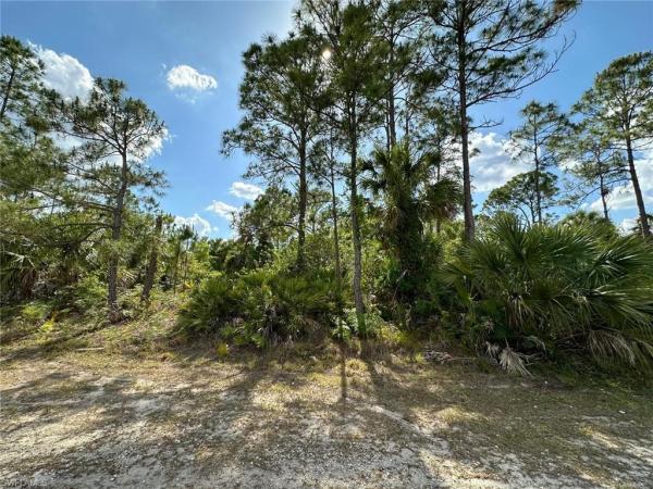 11TH ST SW, OTHER FL 34117, Other, Florida 34117, image 1