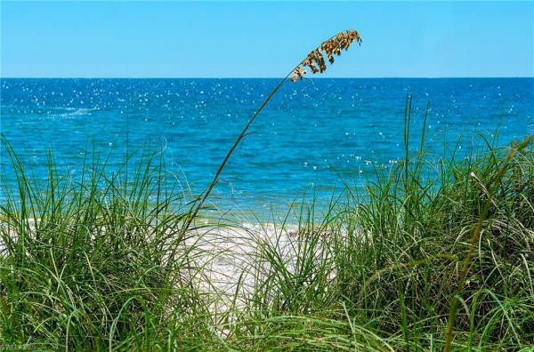 Ole At Lely Resort, 8945 Malibu St #202, Naples, Florida 34113, image 1
