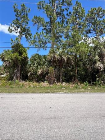 Golden Gate Estates, Everglades BLVD, NAPLES FL 34117, Naples, Florida 34117, image 1