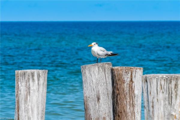 South Pointe South, 9950 Vanillaleaf St, Fort Myers, Florida 33919, image 1