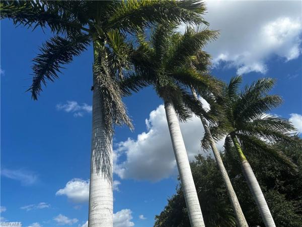 Cape Coral, 4233 1st Ave, Cape Coral, Florida 33914, image 1