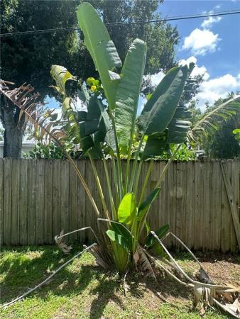 Palmlee Park, 1826 Collier Ave, Fort Myers, Florida 33901, image 1