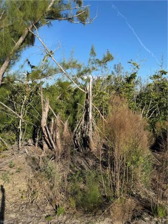 Bayview Ranchettes, 12370 Sherwood Rd, Bokeelia, Florida 33922, image 1