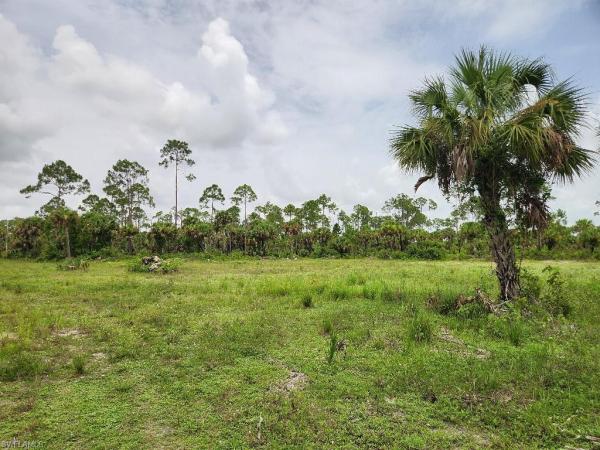 Not Applicable, 1901 Ivy Way, Naples, Florida 34117, image 1