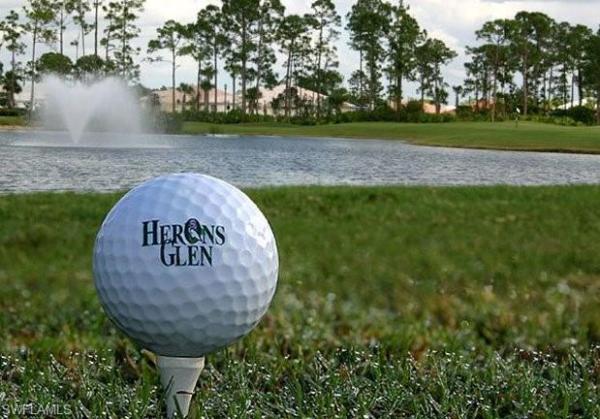 Herons Glen, 1830 Palo Duro Blvd, North Fort Myers, Florida 33917, image 1