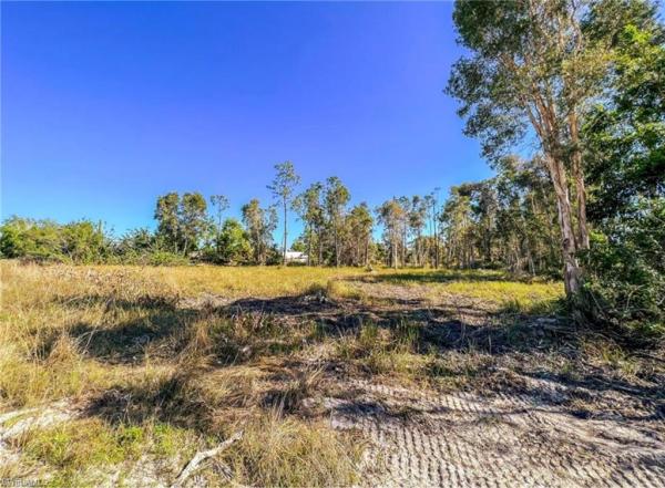 Timber Trails, 12391 Shawnee Rd, Fort Myers, Florida 33913, image 1