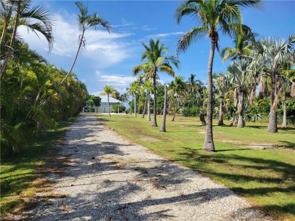 Kreamers, 8335 Main St, Bokeelia, Florida 33922, image 3