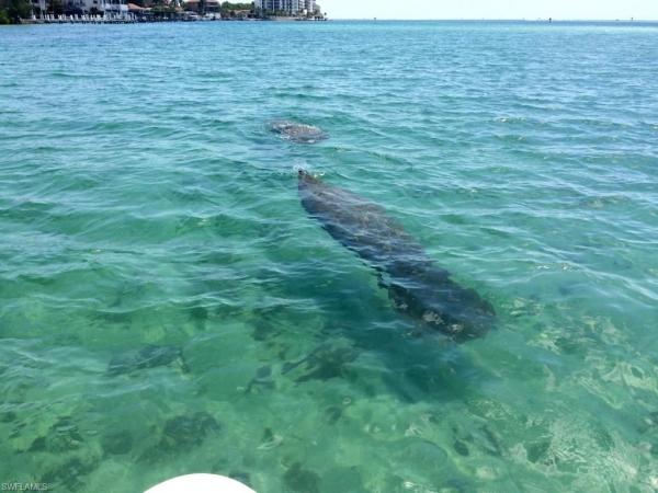 Isles Of Capri, 123 San Salvador St, Naples, Florida 34113, image 1