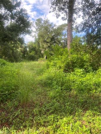 North Fort Myers No HOA, 19150 Matt Rd, North Fort Myers, Florida 33917, image 1