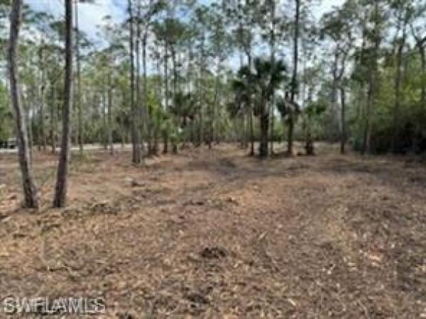 San Carlos Estates, 24443 Rocky Rd, Bonita Springs, Florida 34135, image 1