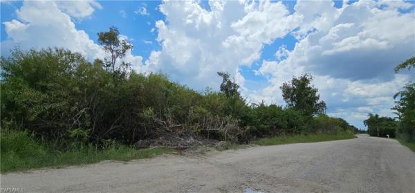 Kreamers Avocado, 7281 Kreamers Dr, Bokeelia, Florida 33922, image 1