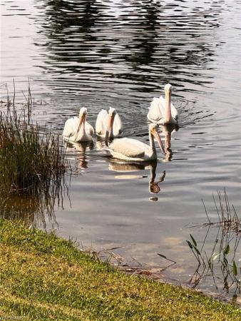 Colony Lakes, 17047 Colony Lakes Blvd, Fort Myers, Florida 33908, image 1
