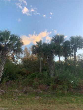 Golden Gate Estates, 38TH AVE SE, NAPLES FL 34117, Naples, Florida 34117, image 1