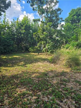 Leeland Heights, 706 Jackson Ln, Lehigh Acres, Florida 33936, image 1