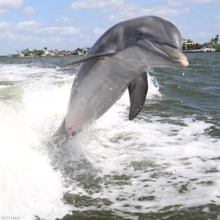 Sussex On The Bay, 270 Collier Blvd #202, Marco Island, Florida 34145, image 1
