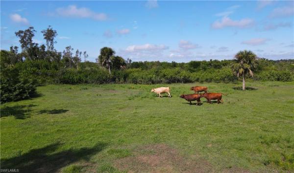 3395 Duncan Rd, Punta Gorda, Florida 33982, image 1