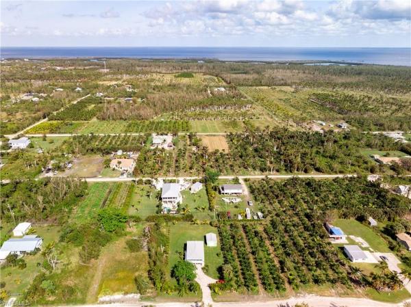 Kreamers Avocado, 6550 Fuller Dr, Bokeelia, Florida 33922, image 1