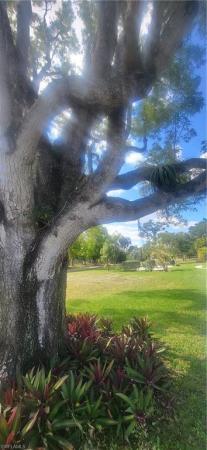 Seminole Garden Apartments, 431 Van Buren St #F4, Fort Myers, Florida 33916, image 1