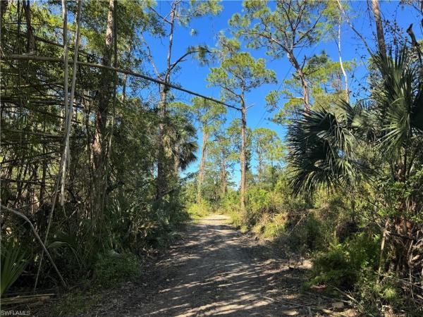 Alva Residential, 13591 Duke Hwy, Alva, Florida 33920, image 1