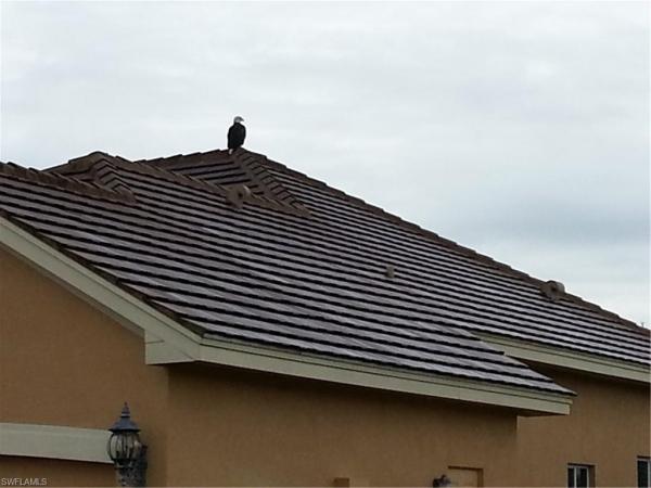 Country Club, 3408 Chestnut Grove Dr, Alva, Florida 33920, image 1