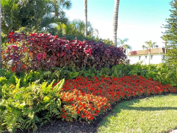 4293 SW 27th Ct #203, Naples, Florida 34116, image 1