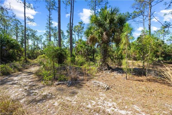 Golden Gate Estates, 2740 SE 6th Ave, Naples, Florida 34117, image 1